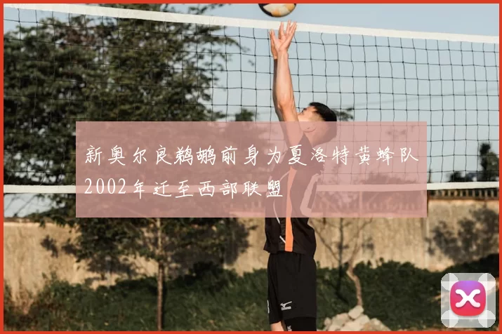 新奥尔良鹈鹕前身为夏洛特黄蜂队2002年迁至西部联盟