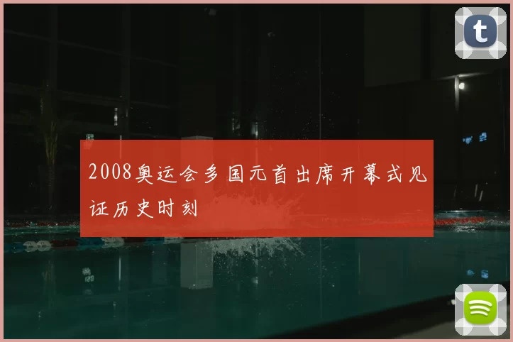 2008奥运会多国元首出席开幕式见证历史时刻