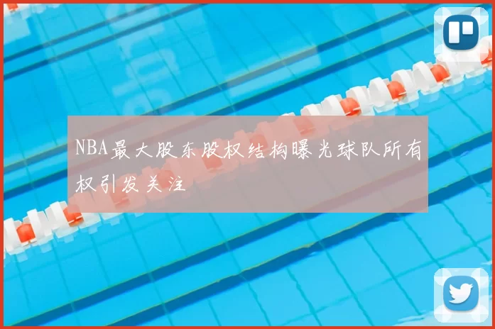 NBA最大股东股权结构曝光球队所有权引发关注
