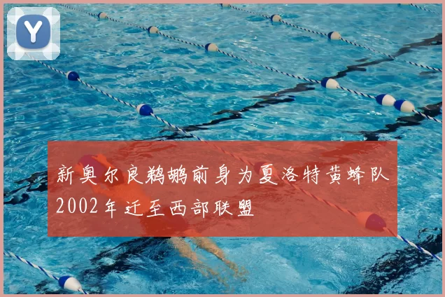 新奥尔良鹈鹕前身为夏洛特黄蜂队2002年迁至西部联盟