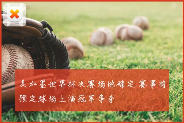 美加墨世界杯决赛场地确定 赛事将预定球场上演冠军争夺