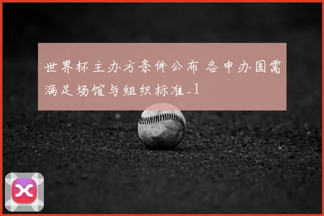 世界杯主办方条件公布 各申办国需满足场馆与组织标准_1